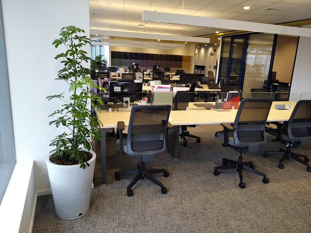 Serviço 46