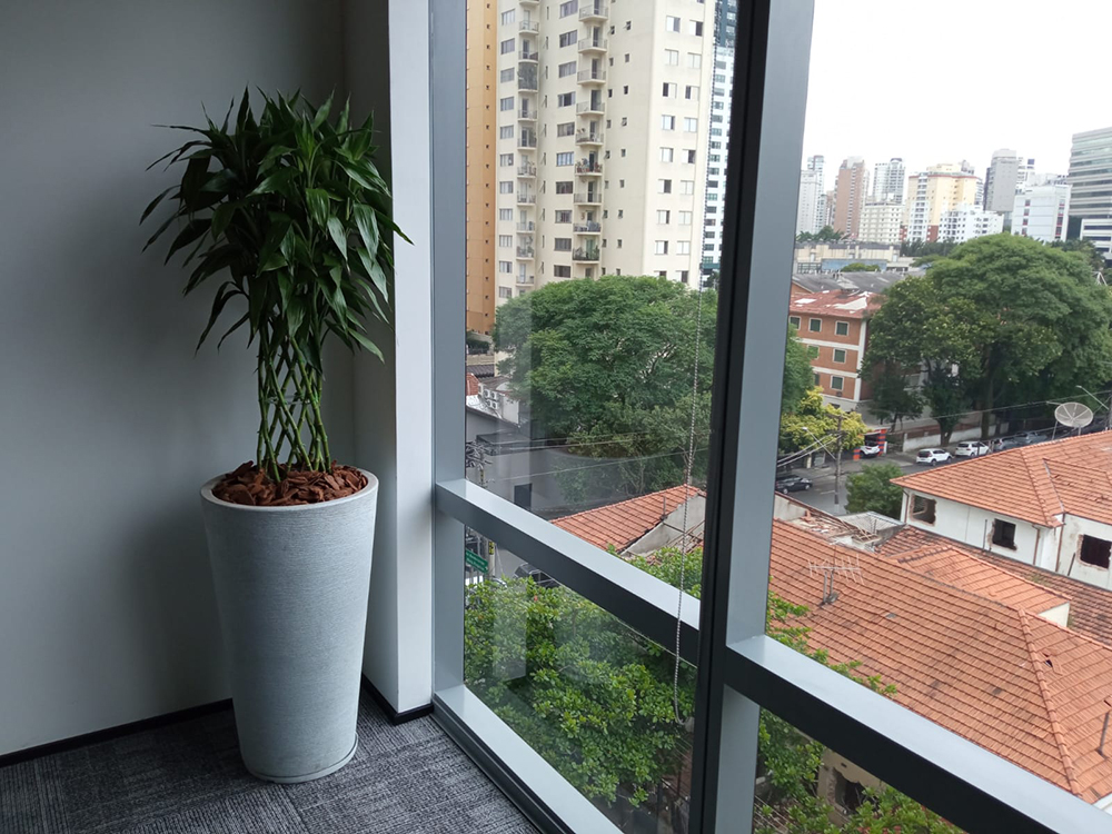 Serviço 74